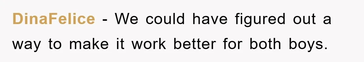 DinaFelice − We could have figured out a way to make it work better for both boys.