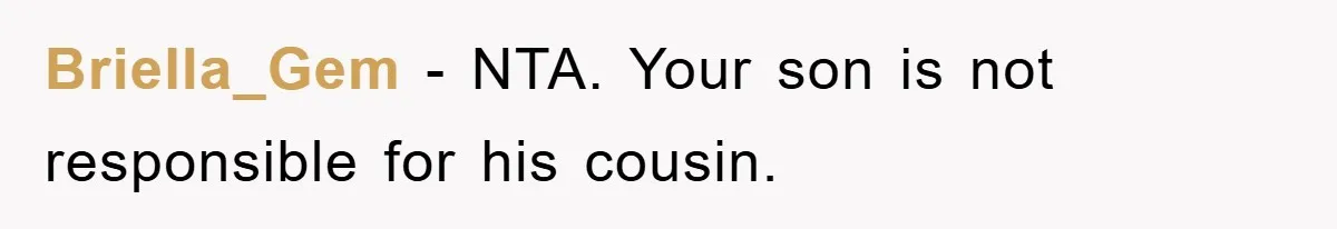 Briella_Gem − NTA. Your son is not responsible for his cousin.