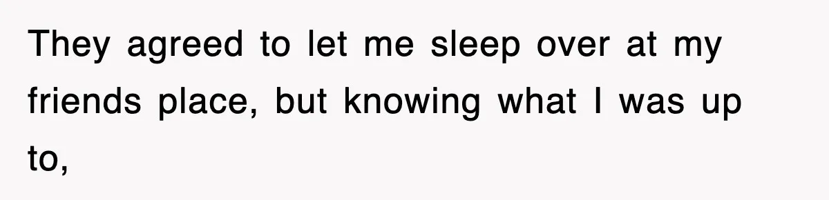They agreed to let me sleep over at my friends place, but knowing what I was up to,