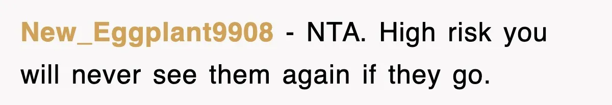 New_Eggplant9908 − NTA. High risk you will never see them again if they go.