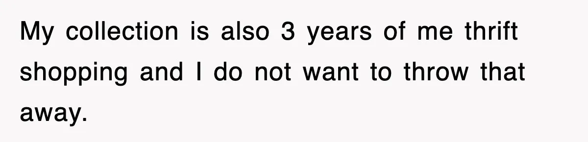 My collection is also 3 years of me thrift shopping and I do not want to throw that away.
