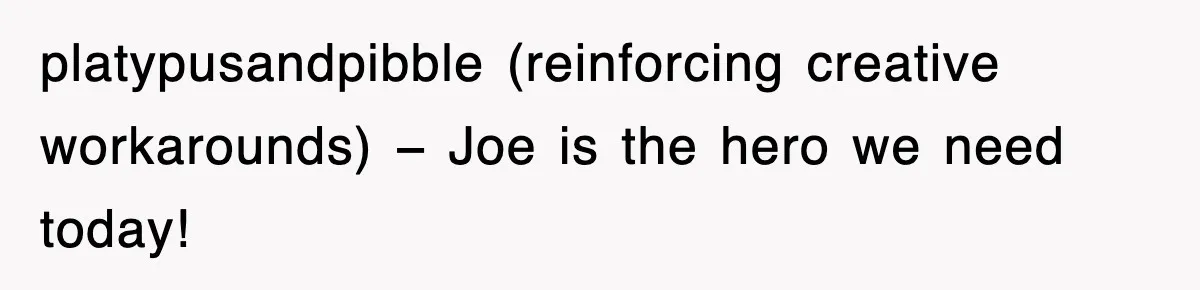 platypusandpibble (reinforcing creative workarounds) − Joe is the hero we need today!