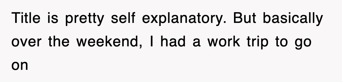 Title is pretty self explanatory. But basically over the weekend, I had a work trip to go on