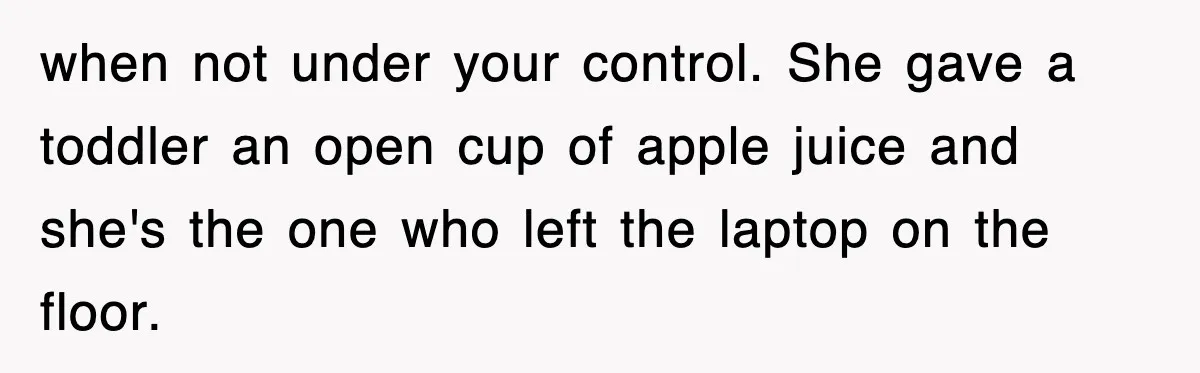 when not under your control. She gave a toddler an open cup of apple juice and she's the one who left the laptop on the floor.