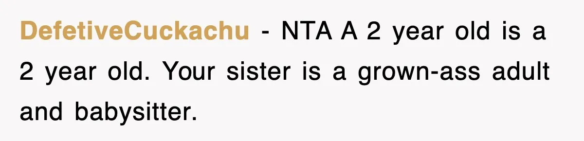 DefetiveCuckachu − NTA A 2 year old is a 2 year old. Your sister is a grown-ass adult and babysitter.