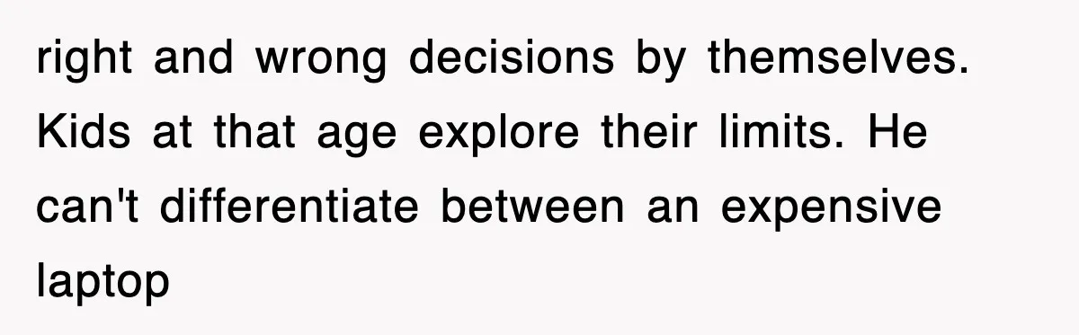 right and wrong decisions by themselves. Kids at that age explore their limits. He can't differentiate between an expensive laptop