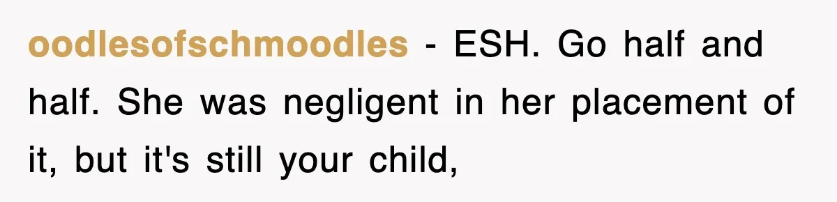 oodlesofschmoodles − ESH. Go half and half. She was negligent in her placement of it, but it's still your child,