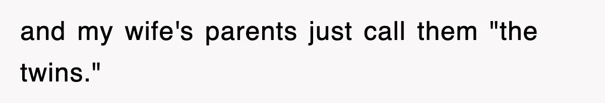 and my wife's parents just call them "the twins."