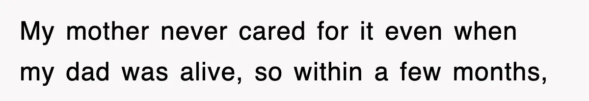 My mother never cared for it even when my dad was alive, so within a few months,