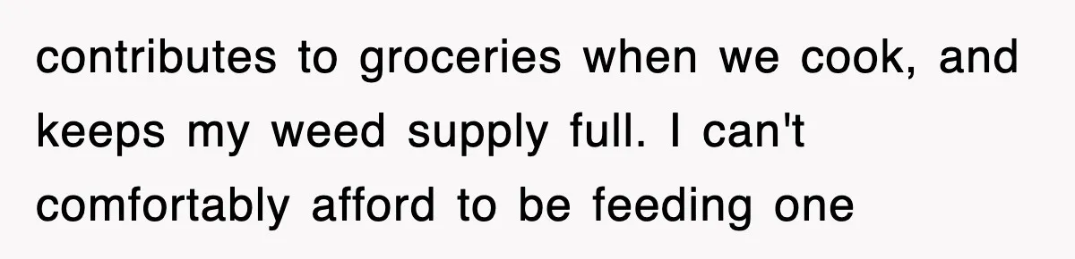 contributes to groceries when we cook, and keeps my weed supply full. I can't comfortably afford to be feeding one