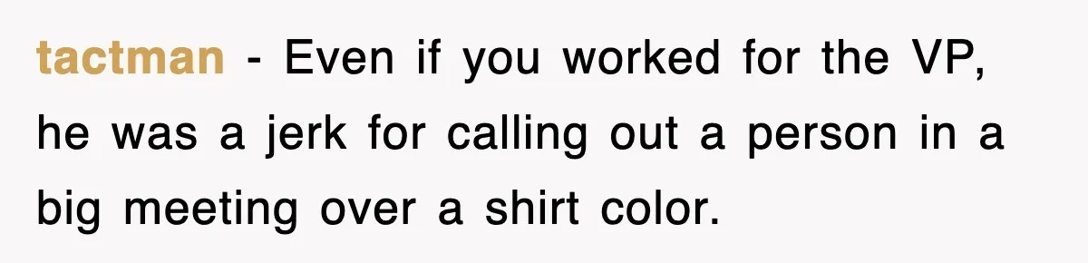 tactman − Even if you worked for the VP, he was a jerk for calling out a person in a big meeting over a shirt color.