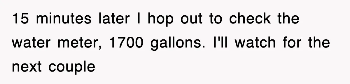 15 minutes later I hop out to check the water meter, 1700 gallons. I'll watch for the next couple