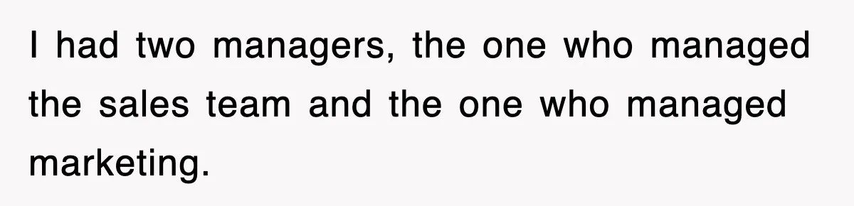 I had two managers, the one who managed the sales team and the one who managed marketing.