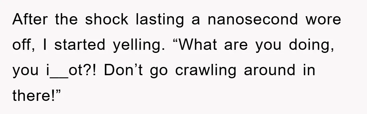 After the shock lasting a nanosecond wore off, I started yelling. “What are you doing, you i__ot?! Don’t go crawling around in there!”