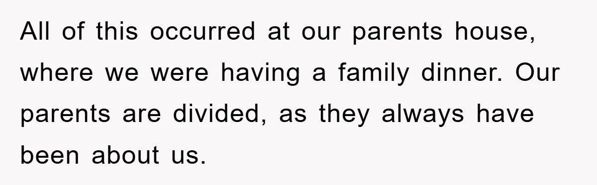 All of this occurred at our parents house, where we were having a family dinner. Our parents are divided, as they always have been about us.