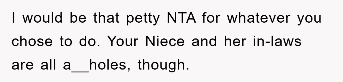 I would be that petty NTA for whatever you chose to do. Your Niece and her in-laws are all a__holes, though.