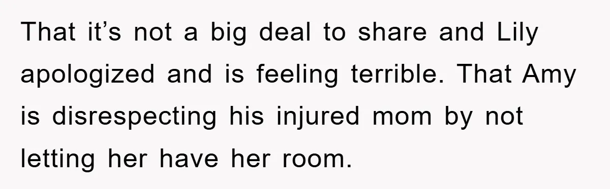 That it’s not a big deal to share and Lily apologized and is feeling terrible. That Amy is disrespecting his injured mom by not letting her have her room.
