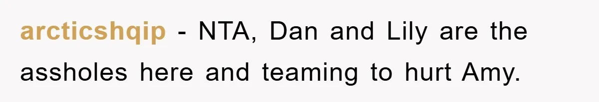arcticshqip − NTA, Dan and Lily are the assholes here and teaming to hurt Amy.
