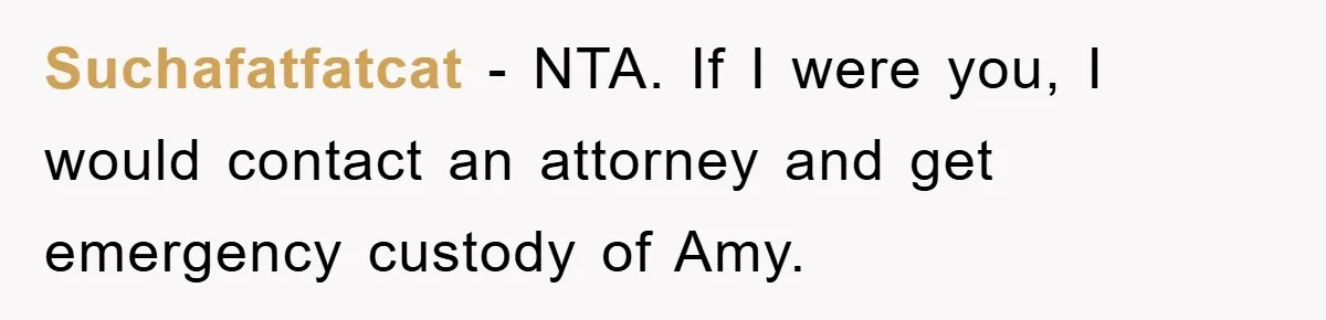 Suchafatfatcat − NTA. If I were you, I would contact an attorney and get emergency custody of Amy.