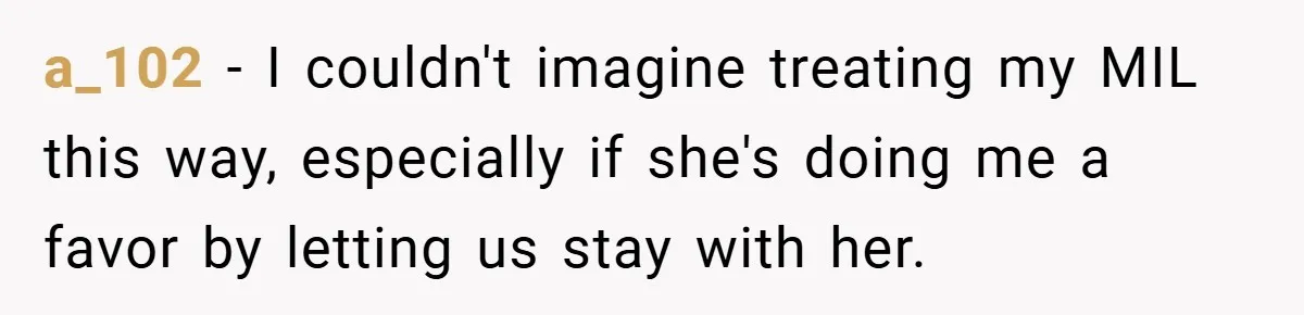 a_102 − I couldn't imagine treating my MIL this way, especially if she's doing me a favor by letting us stay with her.