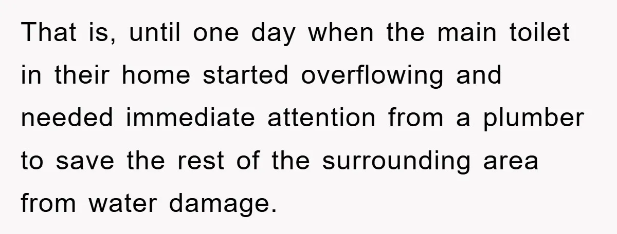 That is, until one day when the main toilet in their home started overflowing and needed immediate attention from a plumber to save the rest of the surrounding area from...
