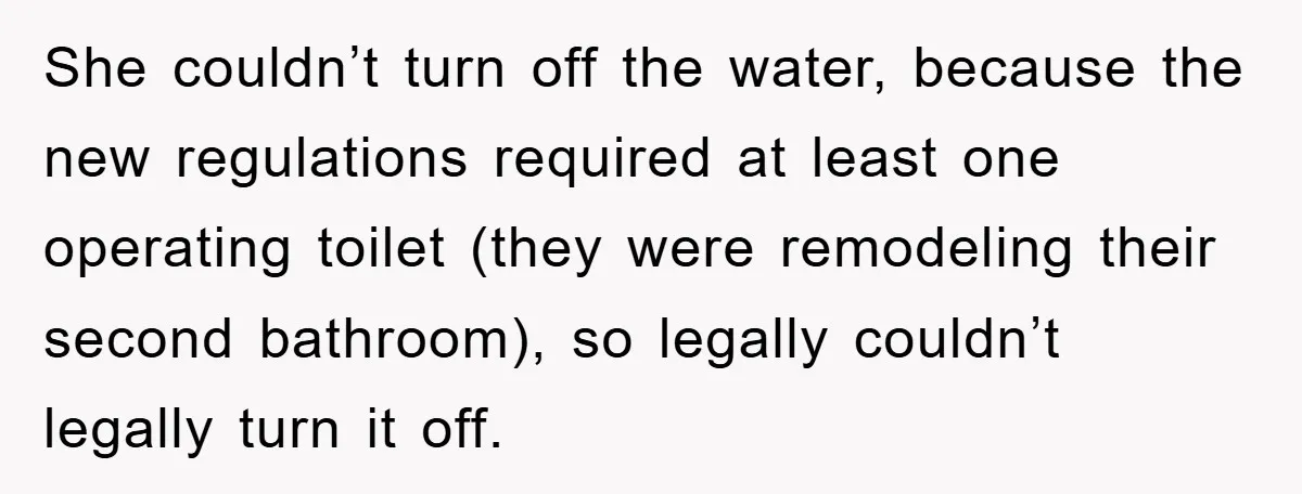 She couldn’t turn off the water, because the new regulations required at least one operating toilet (they were remodeling their second bathroom), so legally couldn’t legally turn it off.