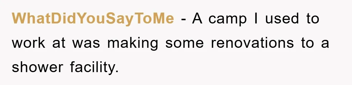 WhatDidYouSayToMe − A camp I used to work at was making some renovations to a shower facility.