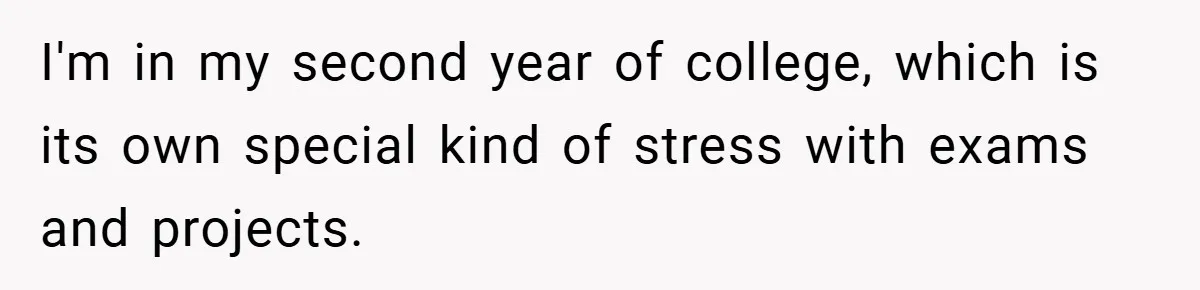 I'm in my second year of college, which is its own special kind of stress with exams and projects.