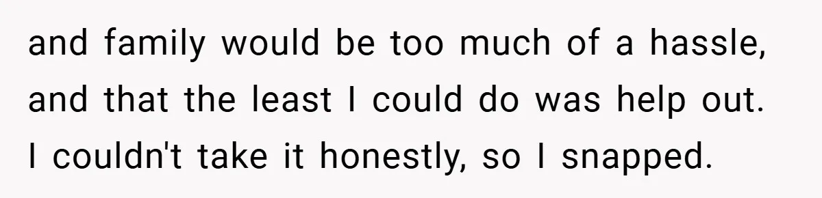 and family would be too much of a hassle, and that the least I could do was help out. I couldn't take it honestly, so I snapped.