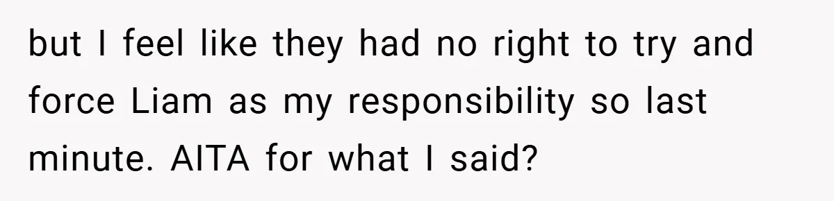 but I feel like they had no right to try and force Liam as my responsibility so last minute. AITA for what I said?