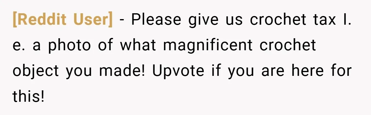 [Reddit User] − Please give us crochet tax I. e. a photo of what magnificent crochet object you made! Upvote if you are here for this!