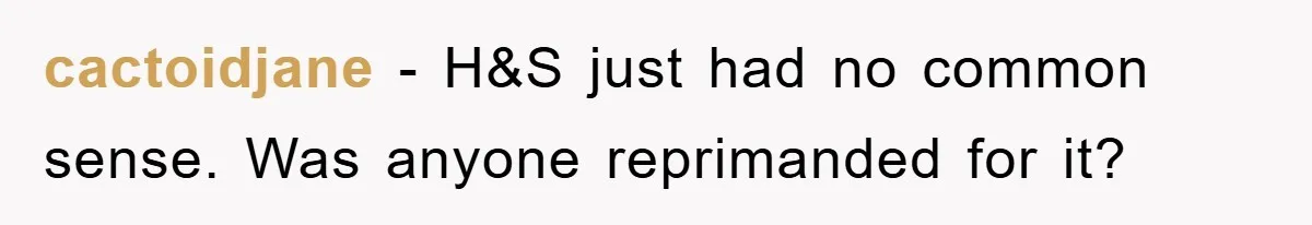 cactoidjane − H&S just had no common sense. Was anyone reprimanded for it?