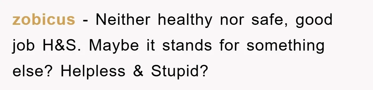 zobicus − Neither healthy nor safe, good job H&S. Maybe it stands for something else? Helpless & Stupid?