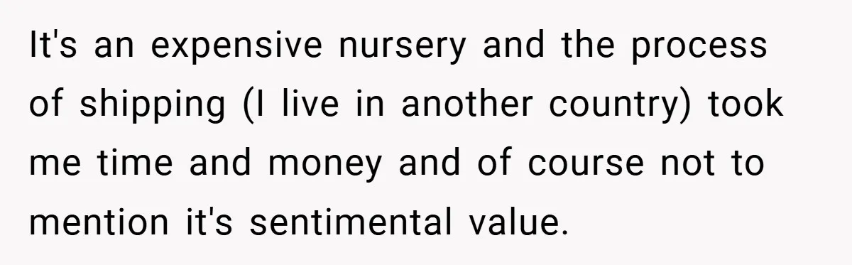 It's an expensive nursery and the process of shipping (I live in another country) took me time and money and of course not to mention it's sentimental value.