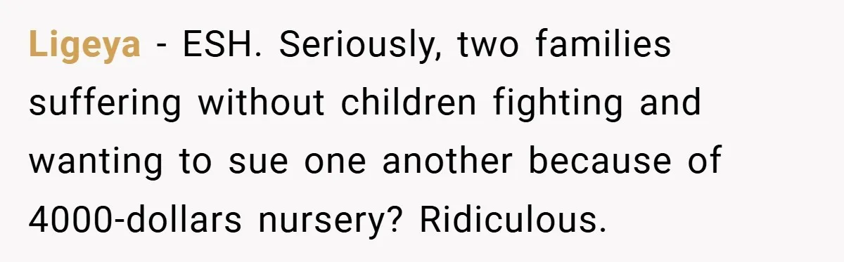 Ligeya − ESH. Seriously, two families suffering without children fighting and wanting to sue one another because of 4000-dollars nursery? Ridiculous.