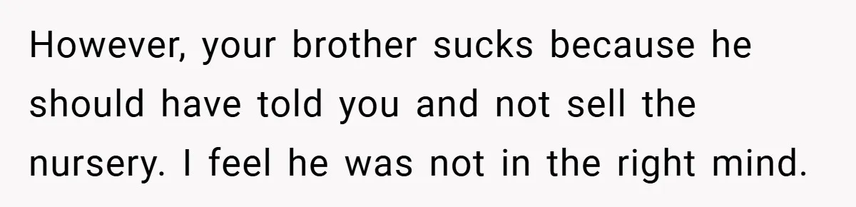 However, your brother sucks because he should have told you and not sell the nursery. I feel he was not in the right mind.