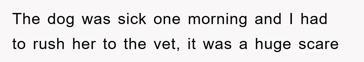 The dog was sick one morning and I had to rush her to the vet, it was a huge scare