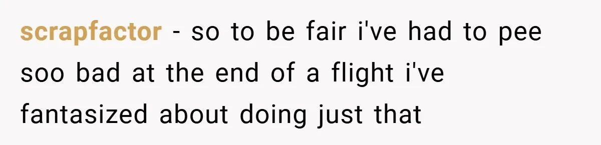 scrapfactor − so to be fair i've had to pee soo bad at the end of a flight i've fantasized about doing just that
