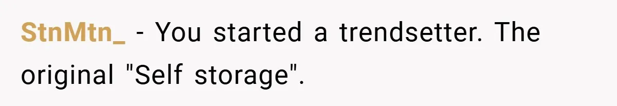 Apartment Complex Charges For Parking Space, Renter Fights Back With Brilliant Loophole StnMtn_ − You started a trendsetter. The original "Self storage".
