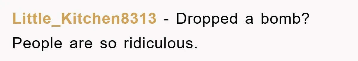 Little_Kitchen8313 − Dropped a bomb? People are so ridiculous.