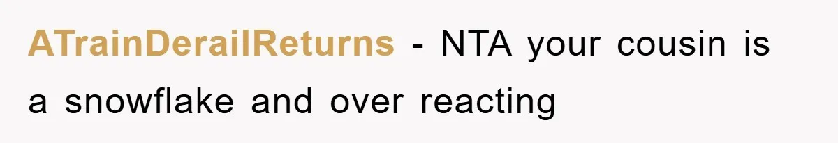 ATrainDerailReturns − NTA your cousin is a snowflake and over reacting