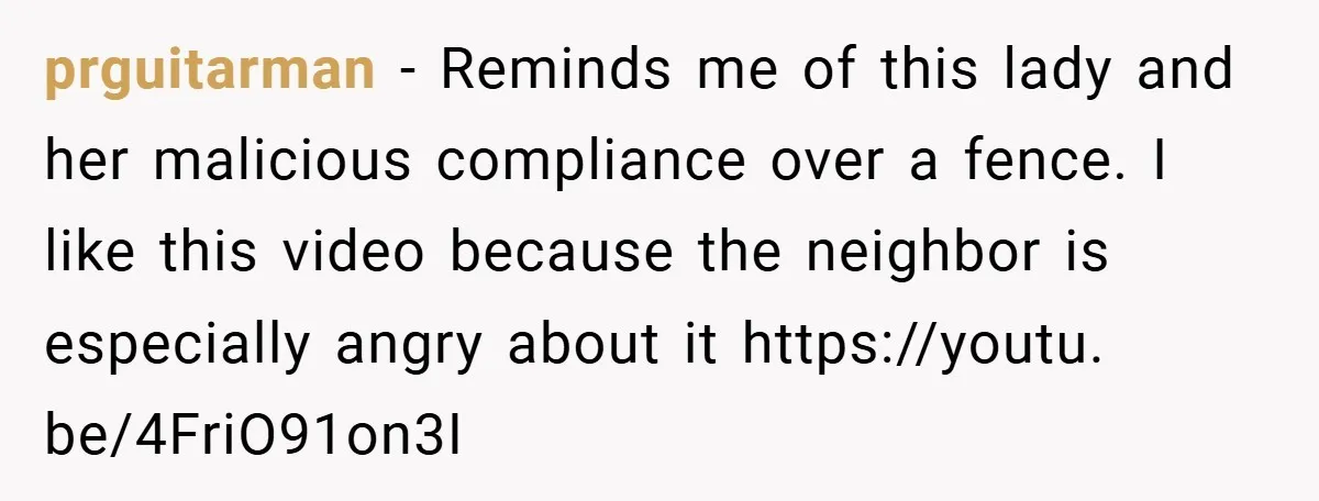 prguitarman − Reminds me of this lady and her malicious compliance over a fence. I like this video because the neighbor is especially angry about it https://youtu. be/4FriO91on3I