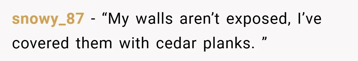 snowy_87 − “My walls aren’t exposed, I’ve covered them with cedar planks. ”