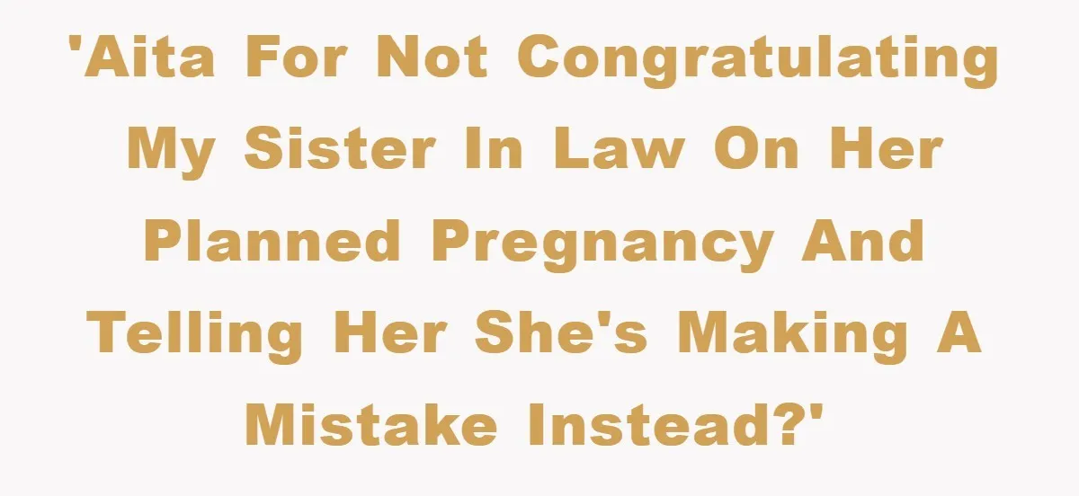 'AITA for not congratulating my sister in law on her planned pregnancy and telling her she's making a mistake instead?'