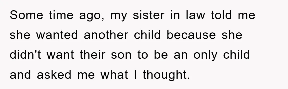 Some time ago, my sister in law told me she wanted another child because she didn't want their son to be an only child and asked me what I thought.