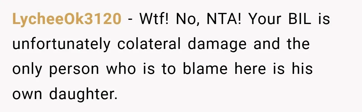 LycheeOk3120 − Wtf! No, NTA! Your BIL is unfortunately colateral damage and the only person who is to blame here is his own daughter.