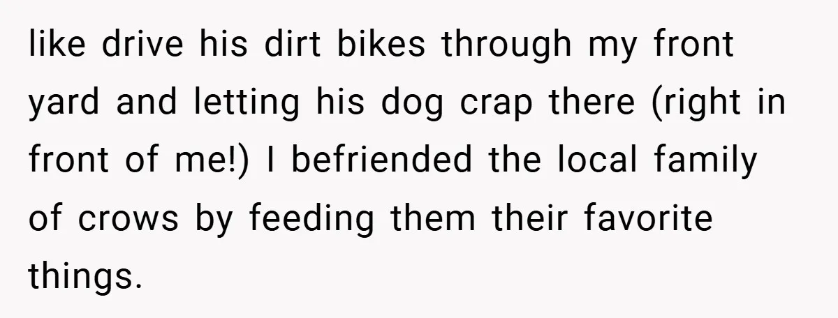 Petty Revenge Gone Feathered: How Crows Became Her Secret Weapon like drive his dirt bikes through my front yard and letting his dog crap there (right in front of me!) I befriended the local family of crows by feeding them...