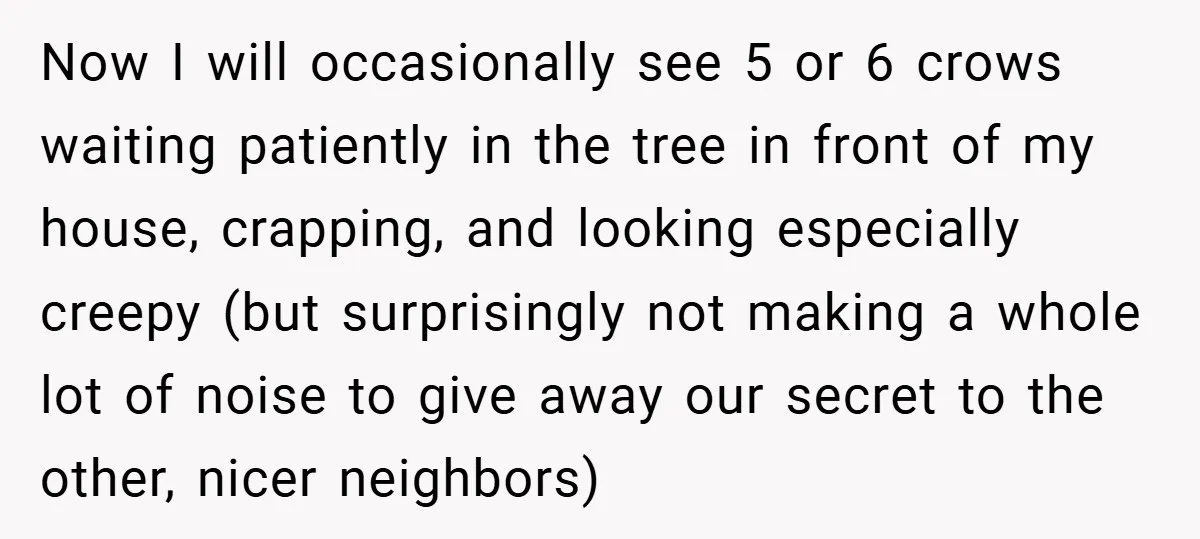Petty Revenge Gone Feathered: How Crows Became Her Secret Weapon Now I will occasionally see 5 or 6 crows waiting patiently in the tree in front of my house, crapping, and looking especially creepy (but surprisingly not making a whole...