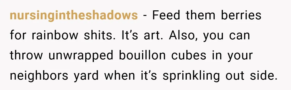 Petty Revenge Gone Feathered: How Crows Became Her Secret Weapon nursingintheshadows − Feed them berries for rainbow shits. It’s art. Also, you can throw unwrapped bouillon cubes in your neighbors yard when it’s sprinkling out side.