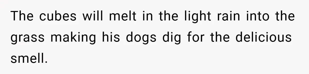 Petty Revenge Gone Feathered: How Crows Became Her Secret Weapon The cubes will melt in the light rain into the grass making his dogs dig for the delicious smell.